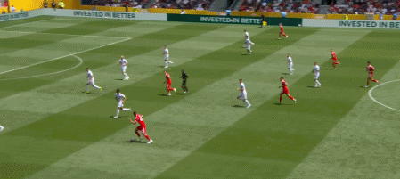 13.gif
