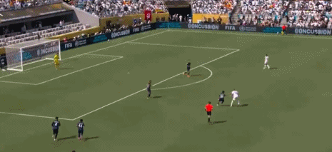 5.gif