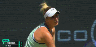 4.gif