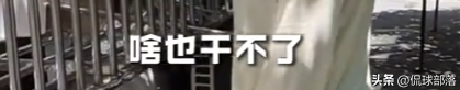 19.png