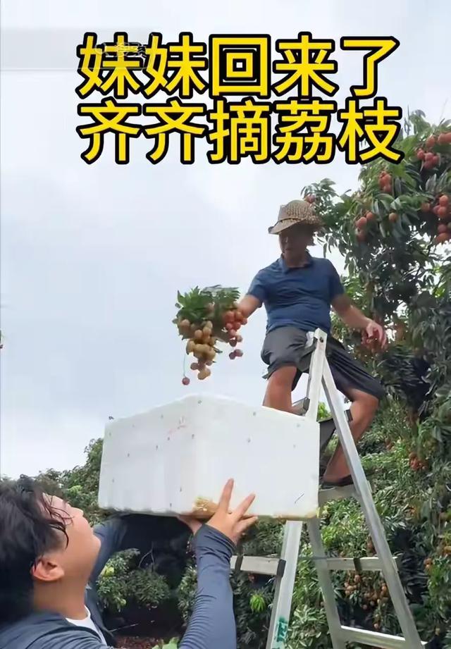 5.jpeg