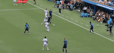 12.gif