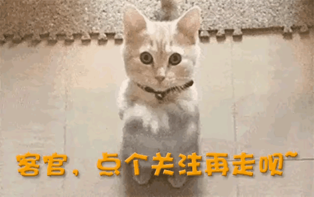 10.gif