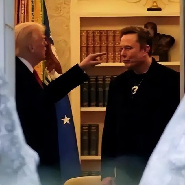 7.jpeg