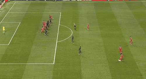 5.gif