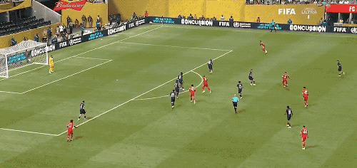 13.gif