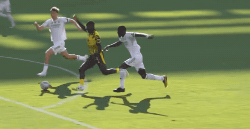 8.gif