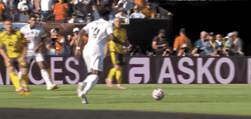 13.gif