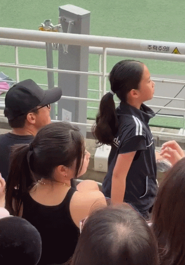 5.gif