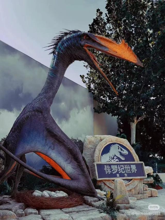12.jpeg