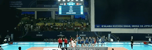 4.gif