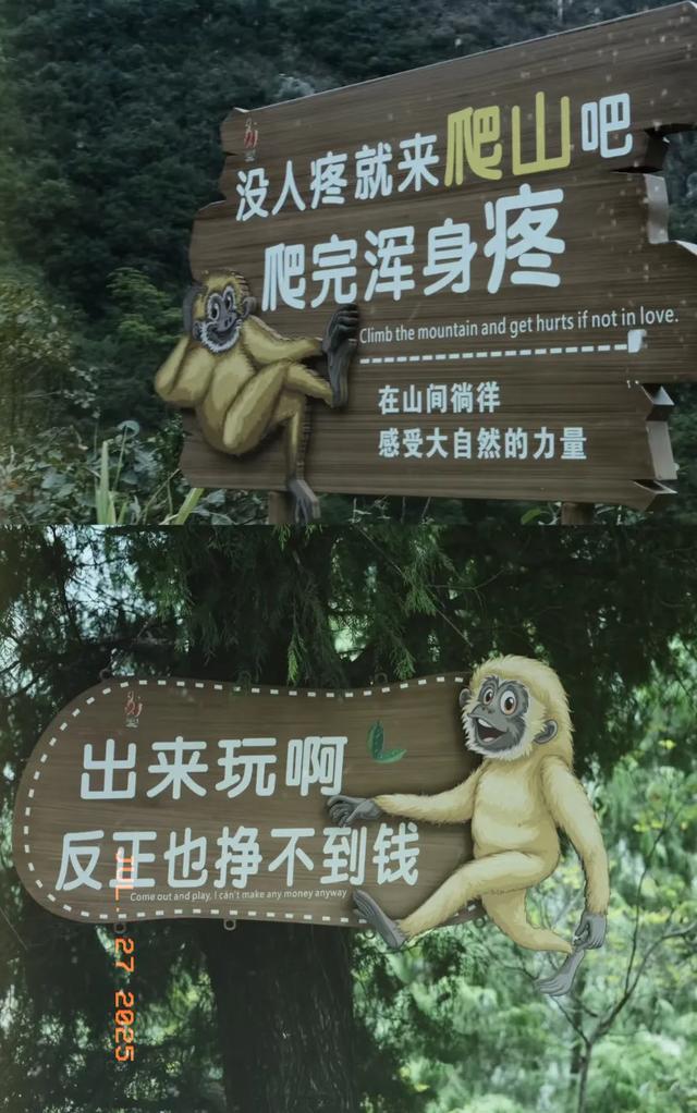 2.jpeg
