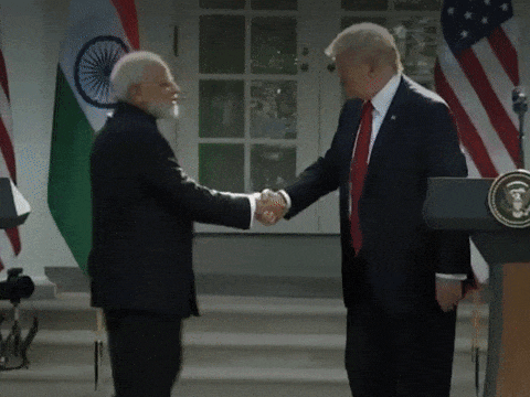 4.gif