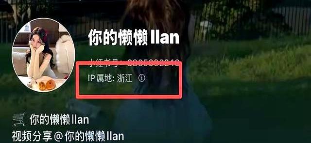 13.jpeg
