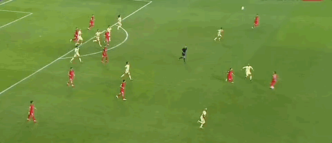 5.gif