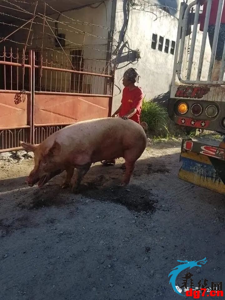 6.jpeg