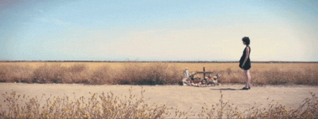 1.gif