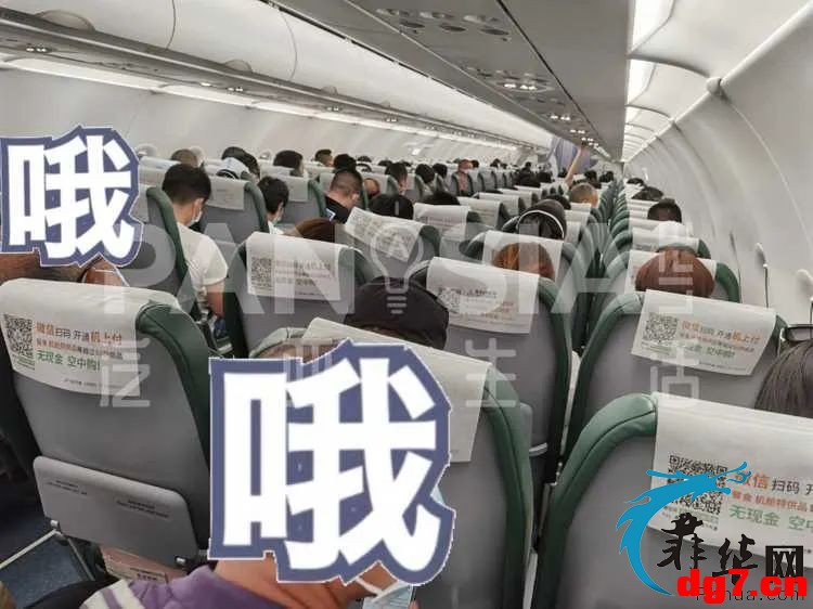 3.jpeg