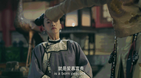 5.gif