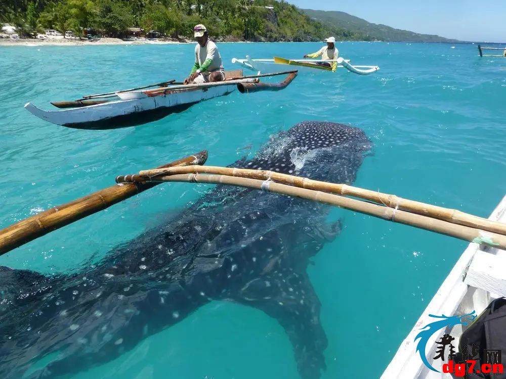 12.jpeg
