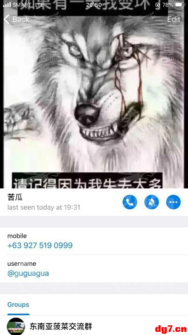 3.jpeg