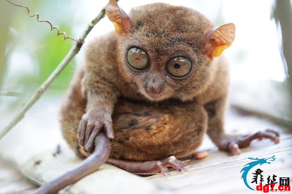 4.jpeg