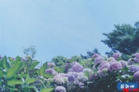 三十而已，一个人的兵荒马乱