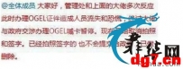 疯传菲律宾取消菜农菠菜ID办理！只是个别公司“通天”