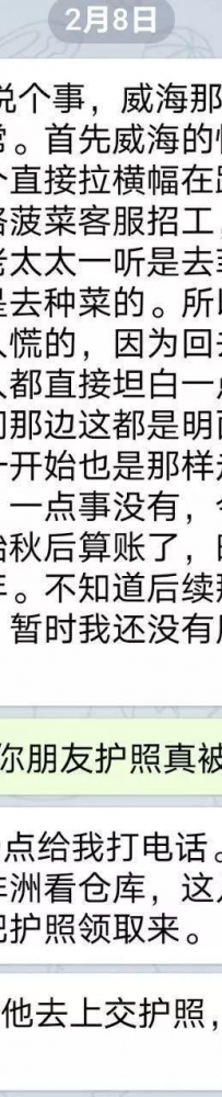 那些被警方约谈的菜农
